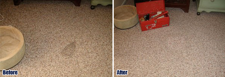 Carpet Repair Simi Valley CA